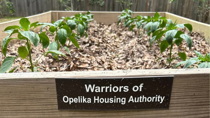 Preview image for OHA Supports Curtis House Greenhouse Project with $1,000 Sponsorship